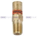 America RegO PRV19430 PRV29430 Series Cryogenic Gas Safety Valves