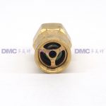 RegO 3127G Brass Safety Valves