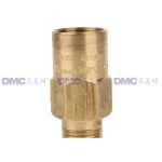 RegO 3129G Brass Safety Valves