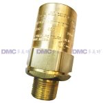 RegO 3129G Brass Safety Valves