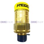 RegO 3129G Brass Safety Valves