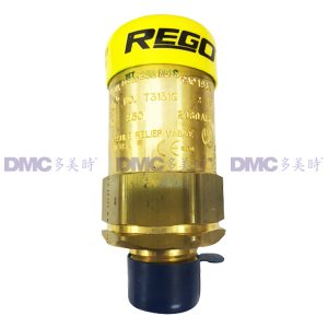 美国力高RegO 3129G黄铜安全阀