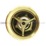 RegO 3129G Brass Safety Valves