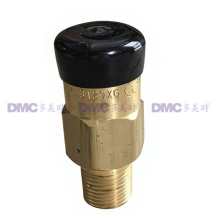 美国REGO力高3129G液化气LPG安全阀ASME容器泄压阀3129XG 250psi